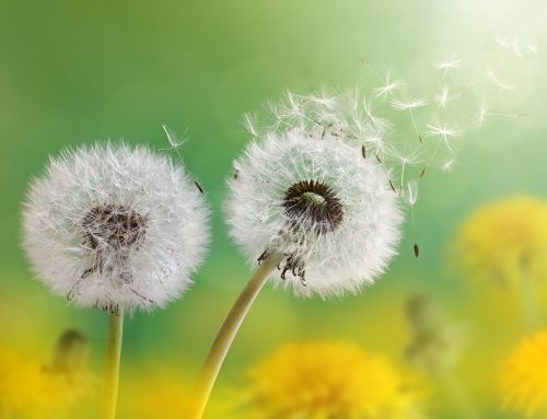 First Chiltern Compass Conversation